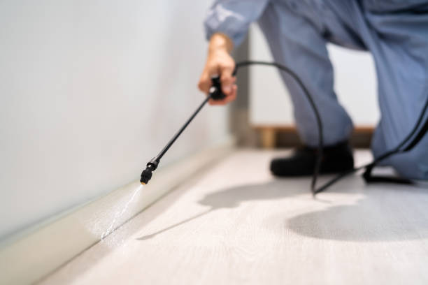 Licensed Cockroach Control service in Kusilvak Census Area County, AK - Nex Pest Control